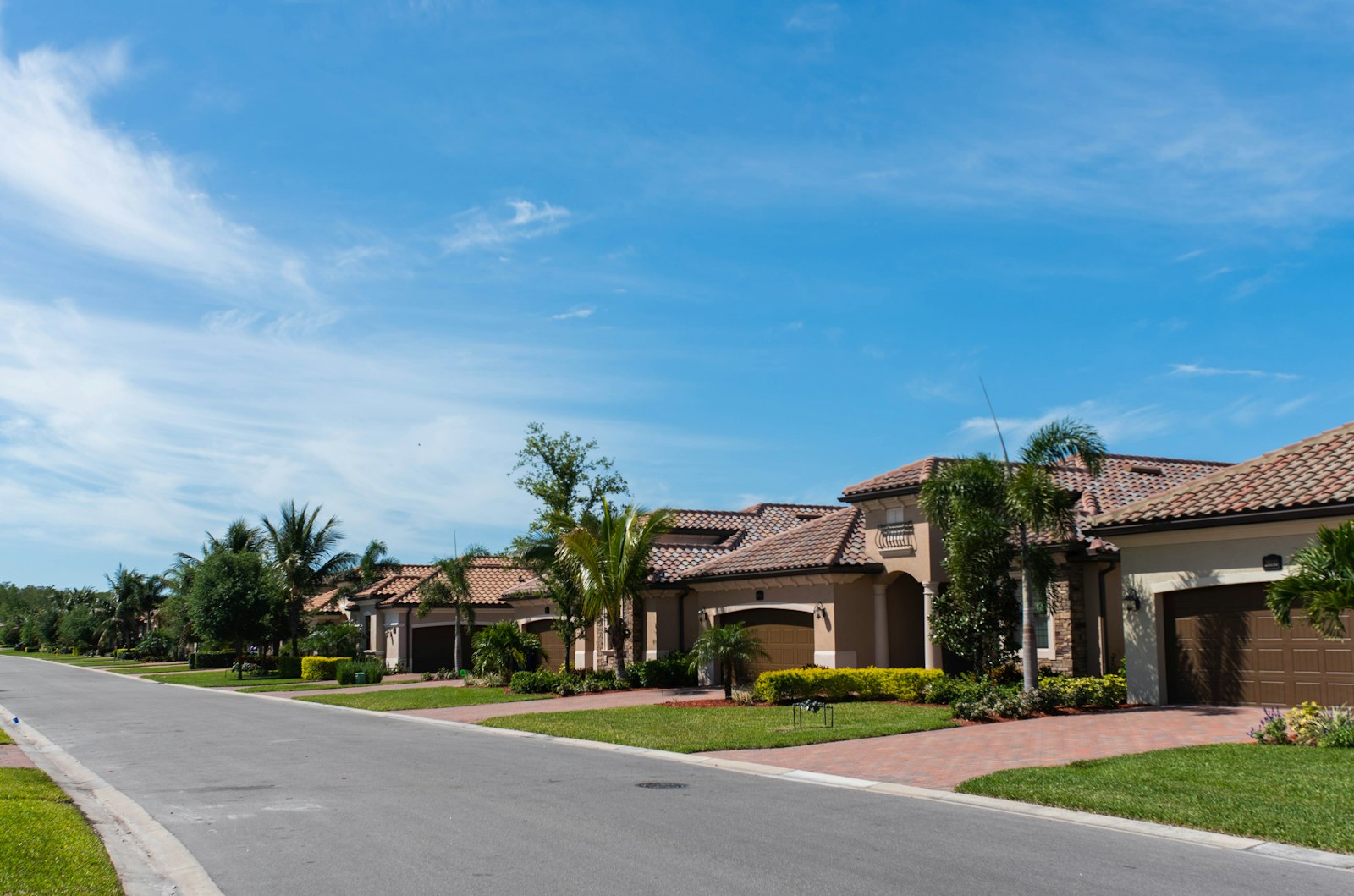 A quiet suburban street lined with houses